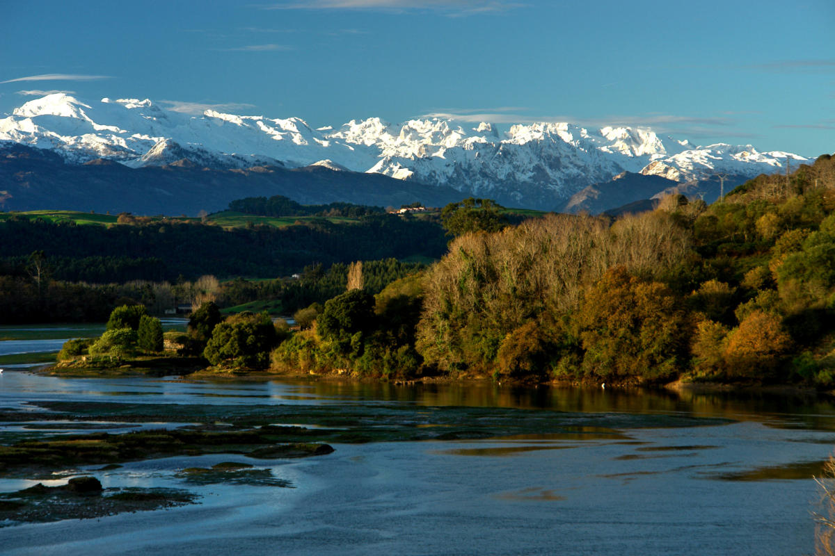 Autofacil revista de coches y motor