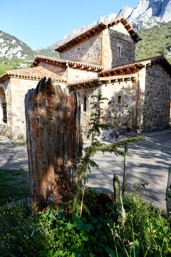 Autofacil revista de coches y motor