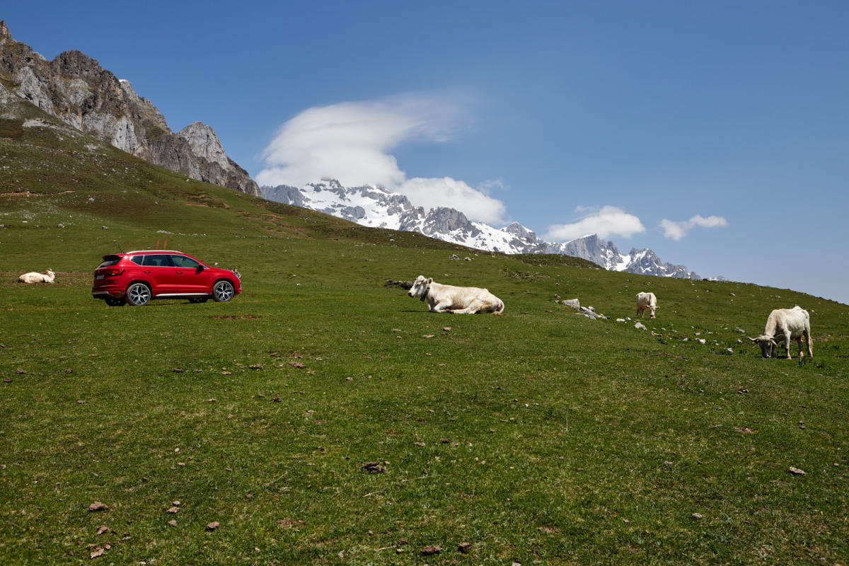 Autofacil revista de coches y motor