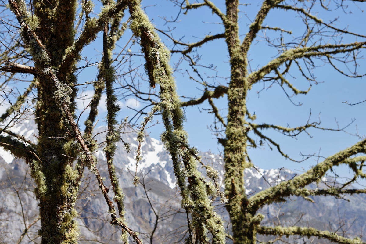 Autofacil revista de coches y motor