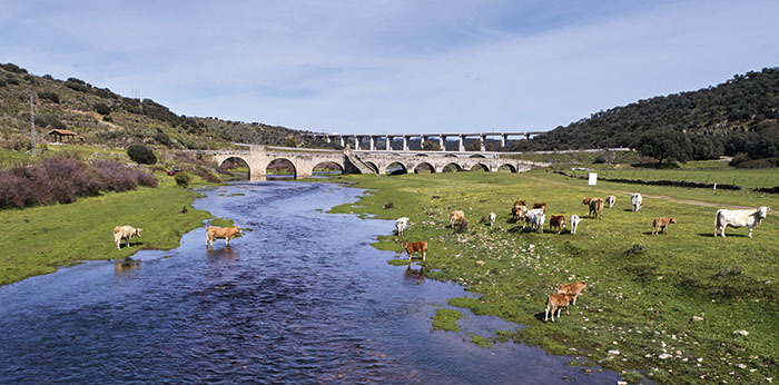 Puente del Cardenal