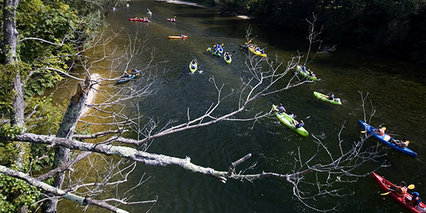 Descenso del Sella en canoa