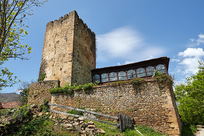 MOgrovejo