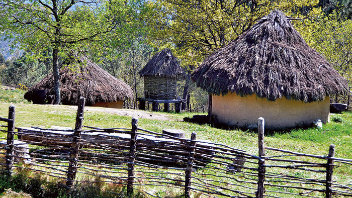 PAAR arqueología