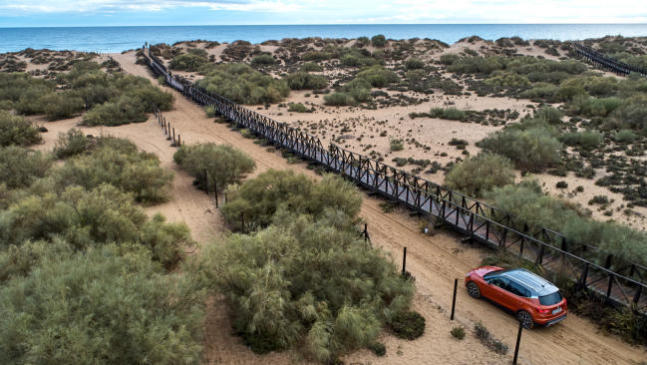 Fotos del Parque Nacional de Doñana