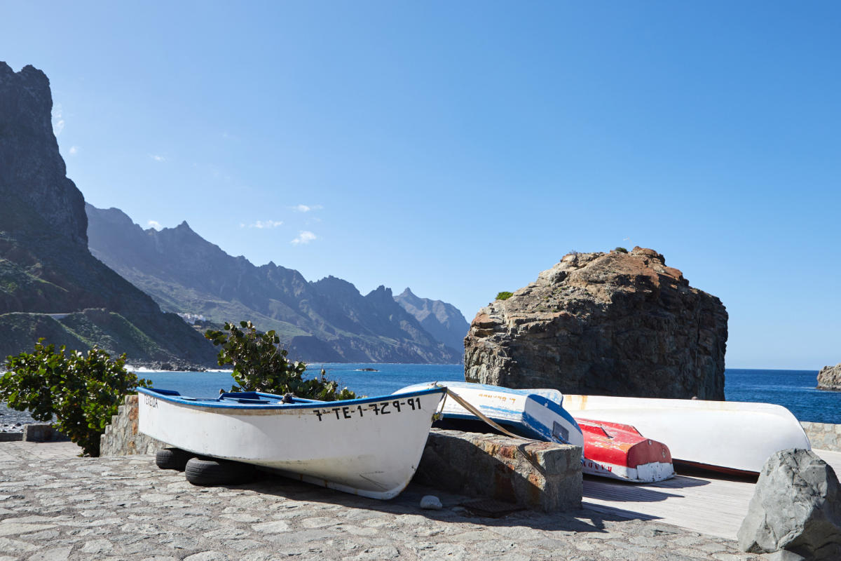 Autofacil revista de coches y motor