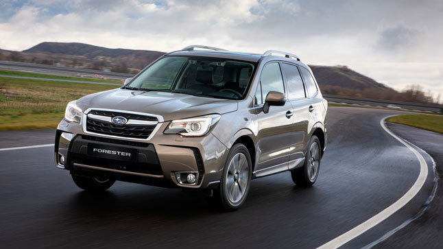 Subaru Forester 19