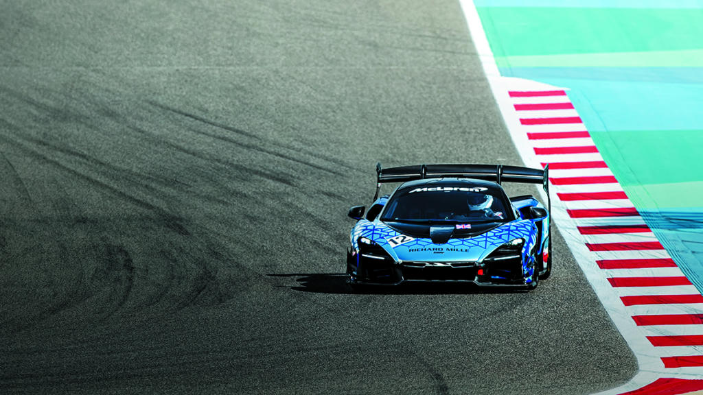 Fotos: McLaren Senna GT-R