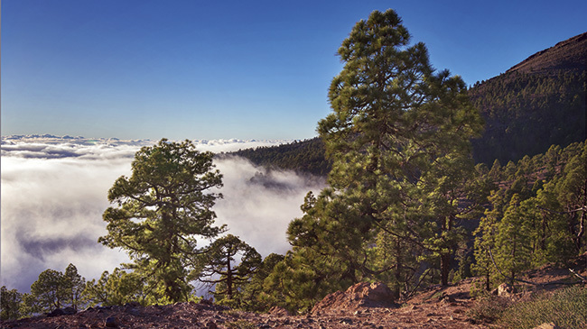 PN Teide