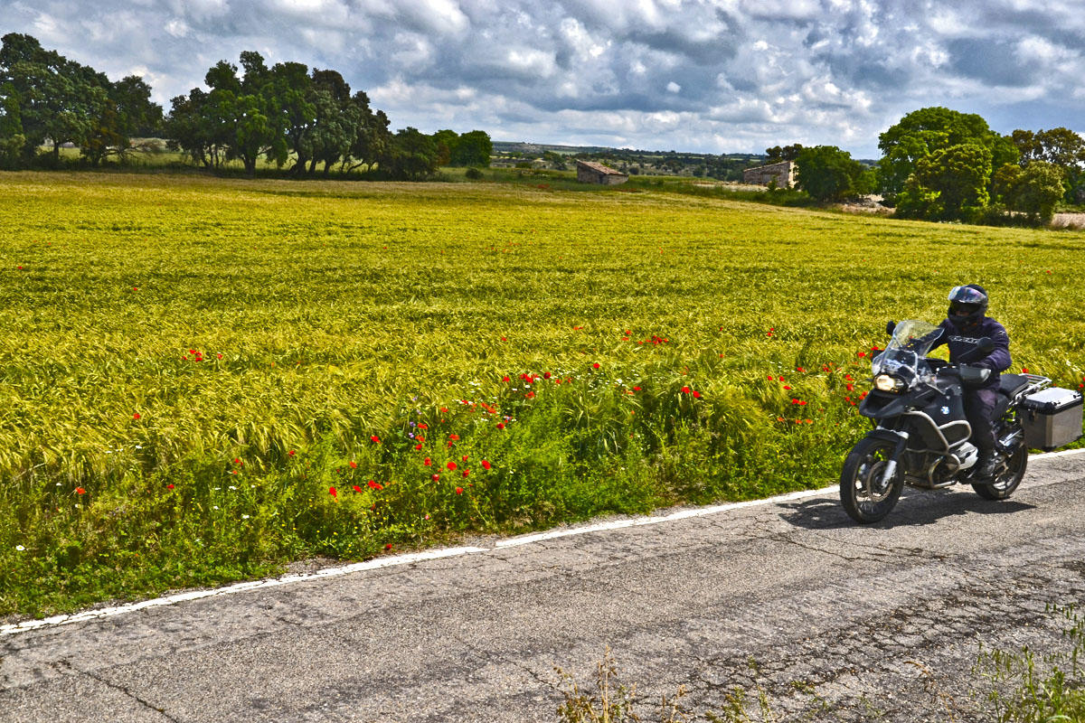 Autofacil revista de coches y motor
