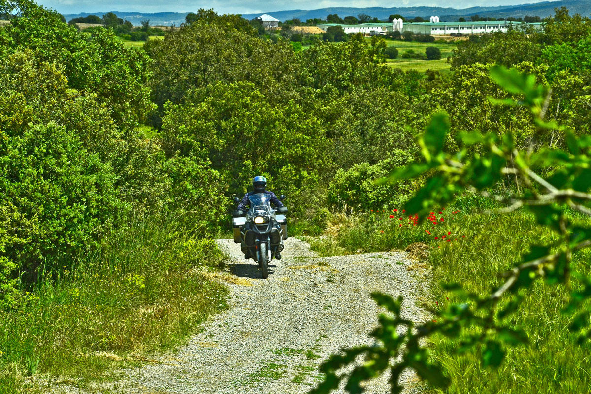 Autofacil revista de coches y motor