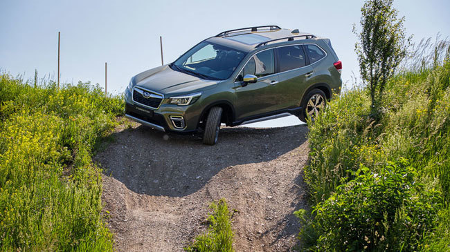 subaru forester campo 1