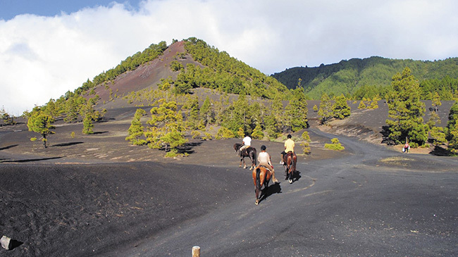 rutas a caballo en La Palma