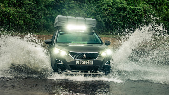  Peugeot 3008 