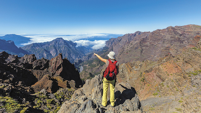 la palma