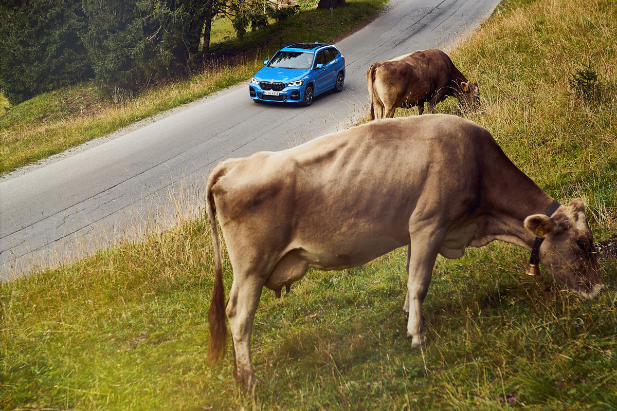 Autofacil revista de coches y motor