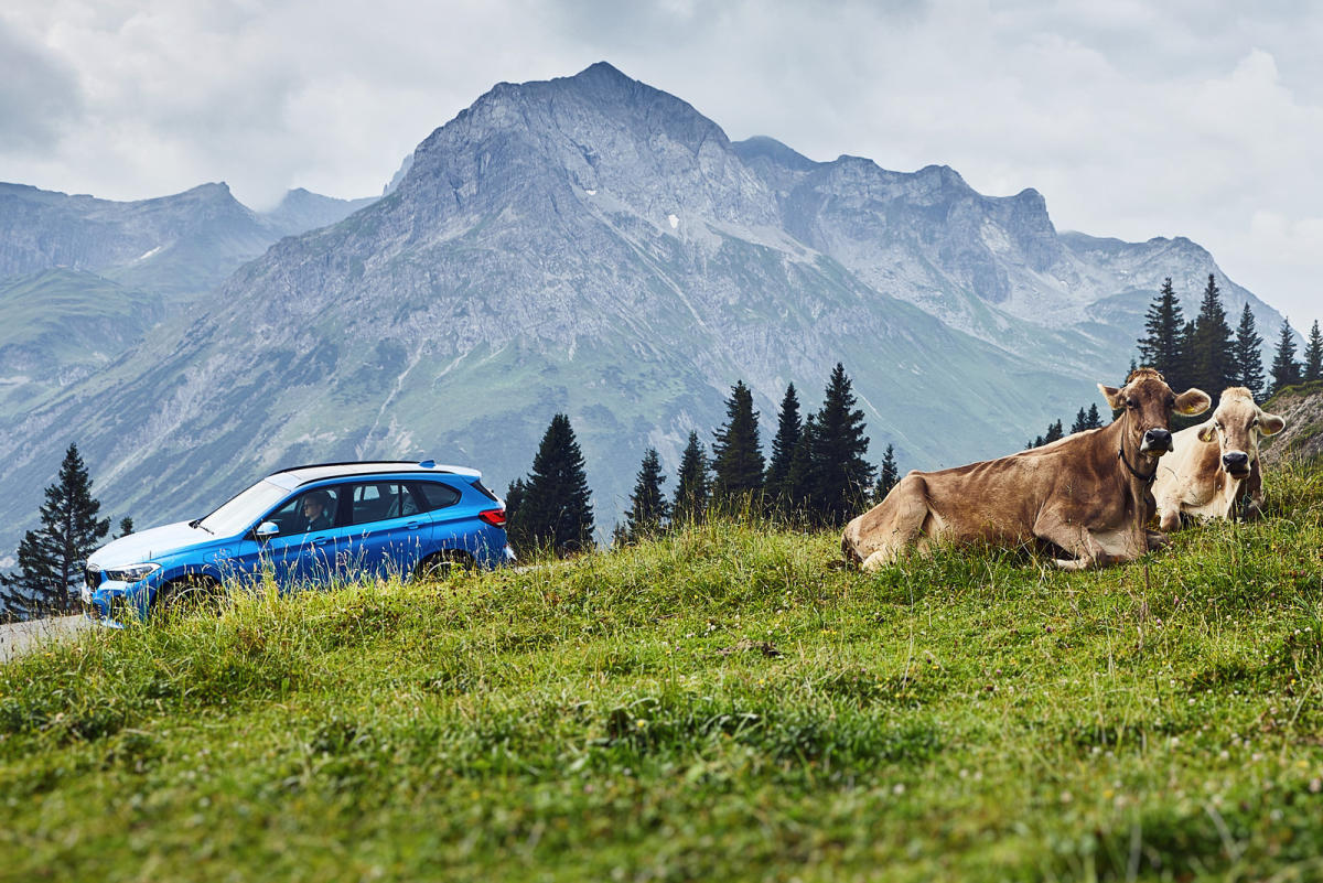 Autofacil revista de coches y motor