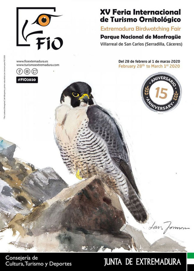 cartel FIO 2020