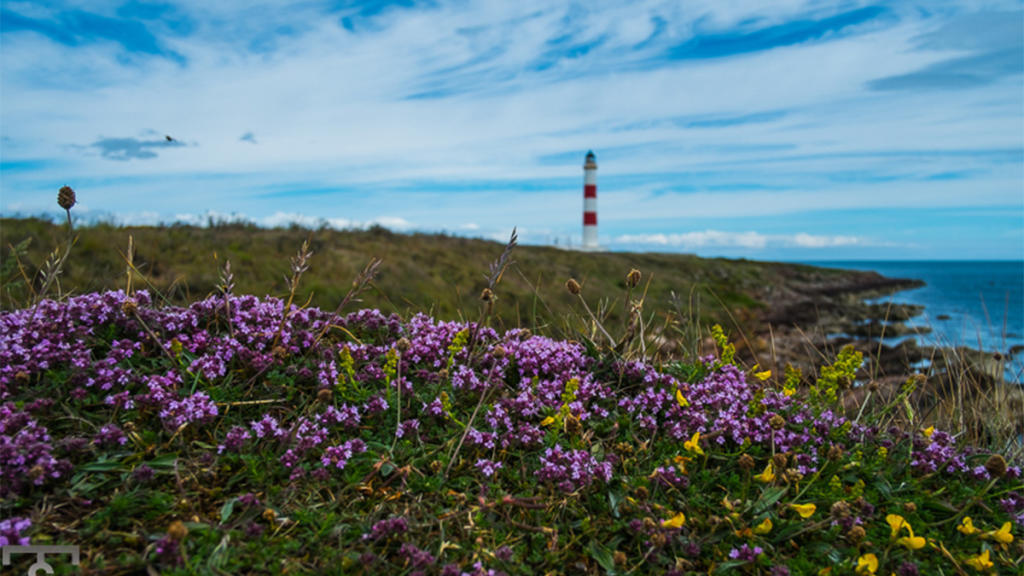 FAro de Tarbat Ness