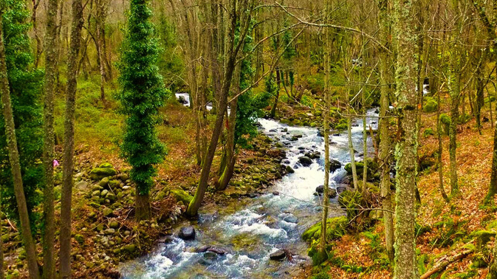 Valle del Ambroz 