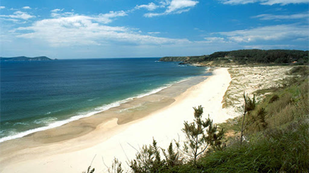 PLaya MAjor