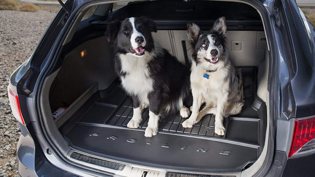 Alfombrillas y protectores de maletero para coche - Autofácil