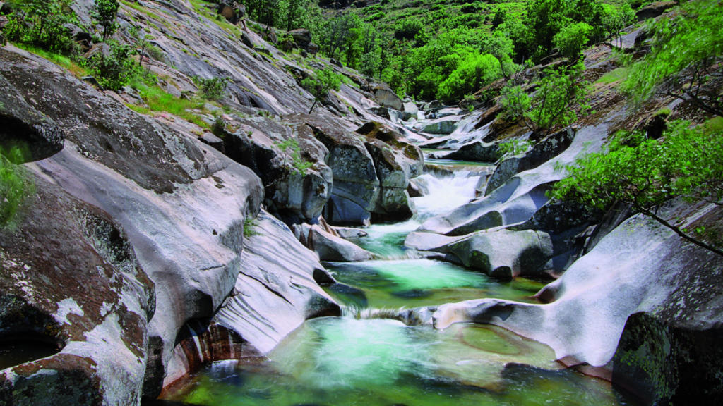 valle del jerte