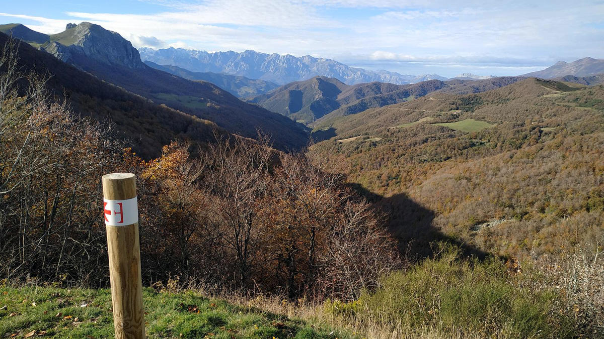 Autofacil revista de coches y motor