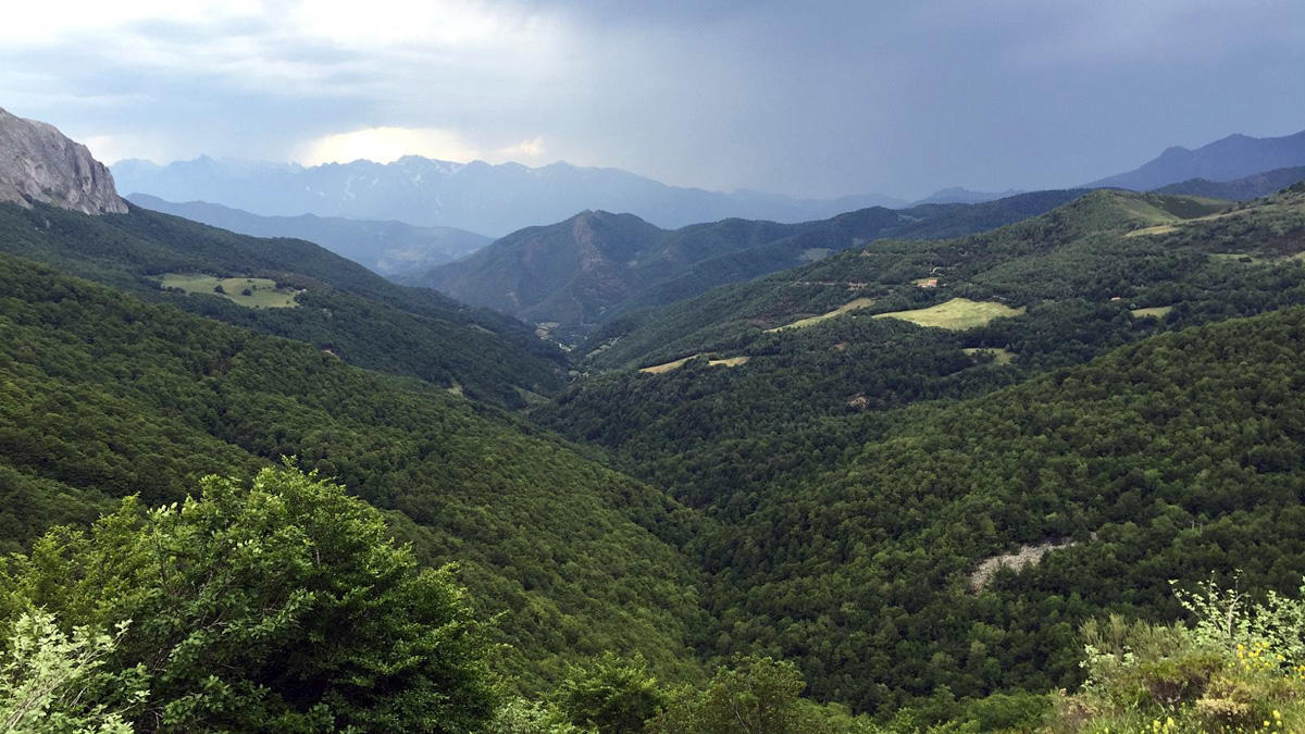 Autofacil revista de coches y motor