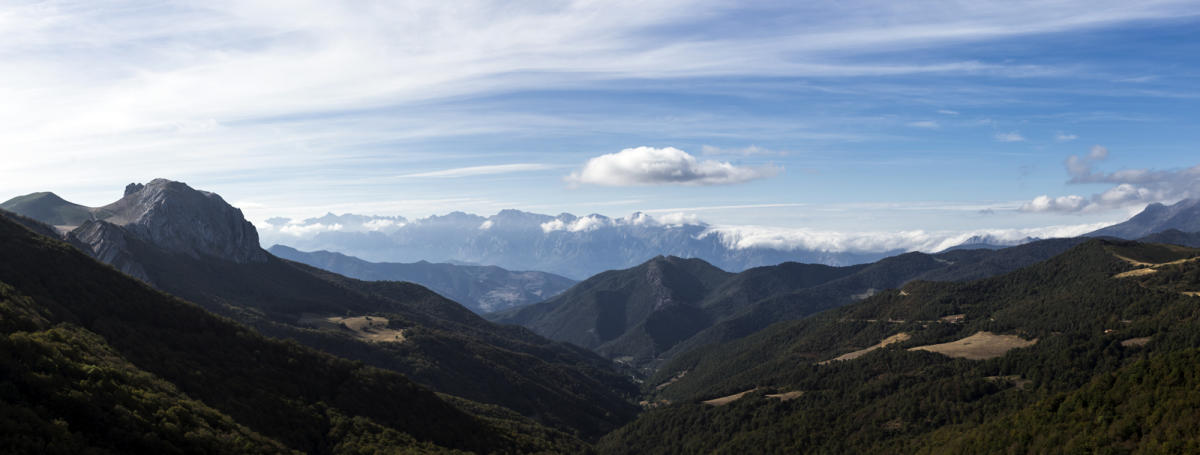 Autofacil revista de coches y motor