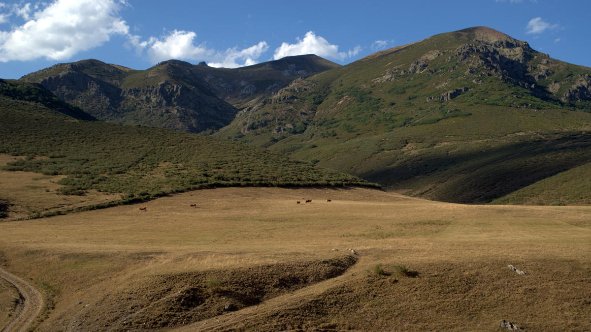Autofacil revista de coches y motor