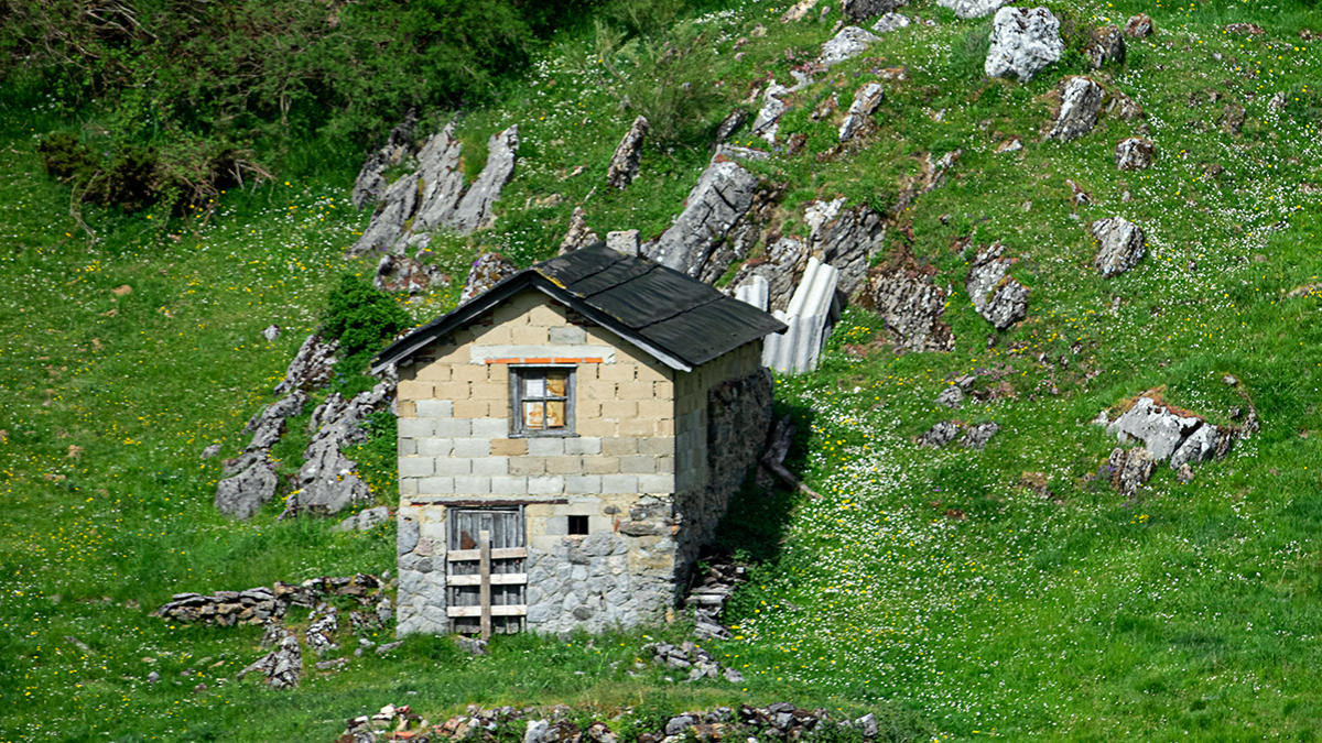 Autofacil revista de coches y motor