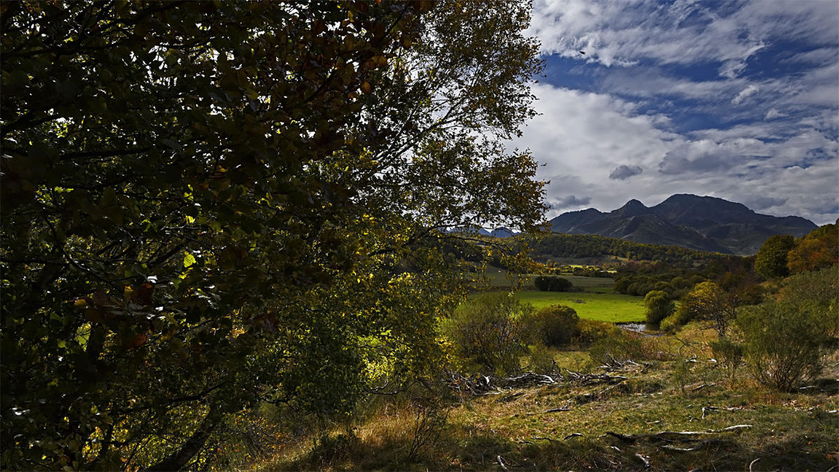 Autofacil revista de coches y motor