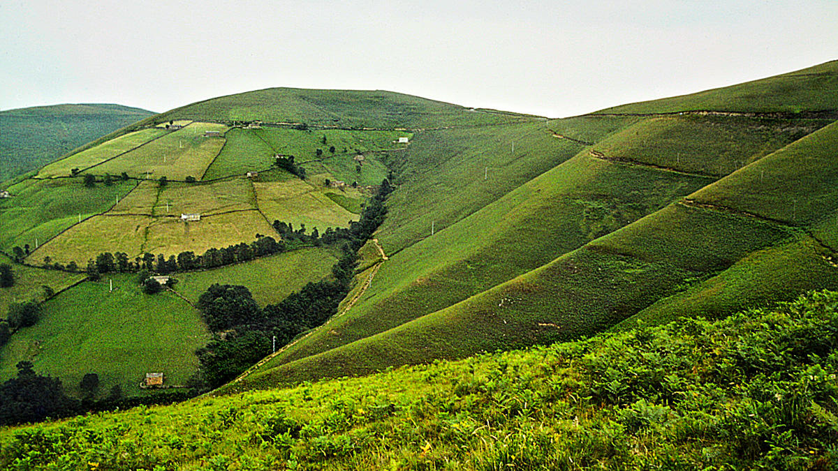 Autofacil revista de coches y motor