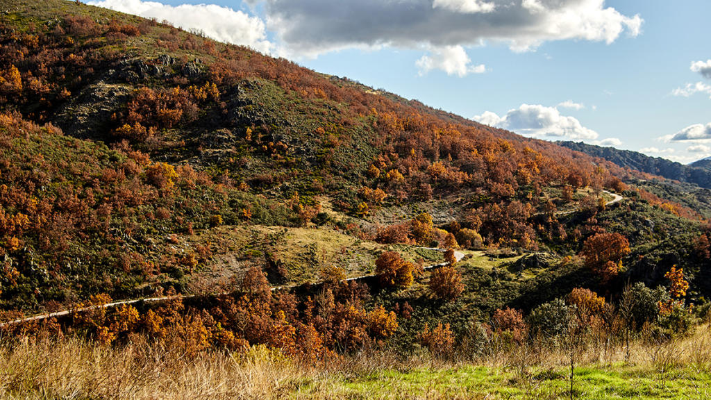 Ruta EVO Cupra Sierra Norte 