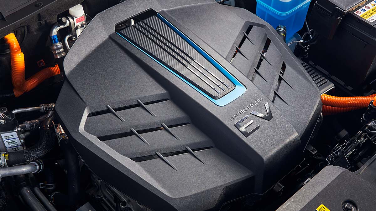 Kona eléctrico