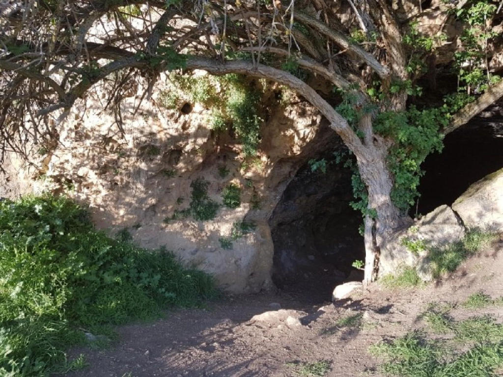 Cueva de la Vaquera