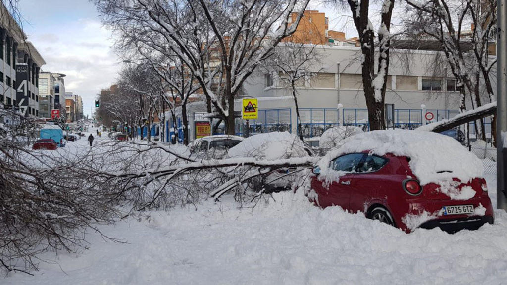 cochearbolnieve