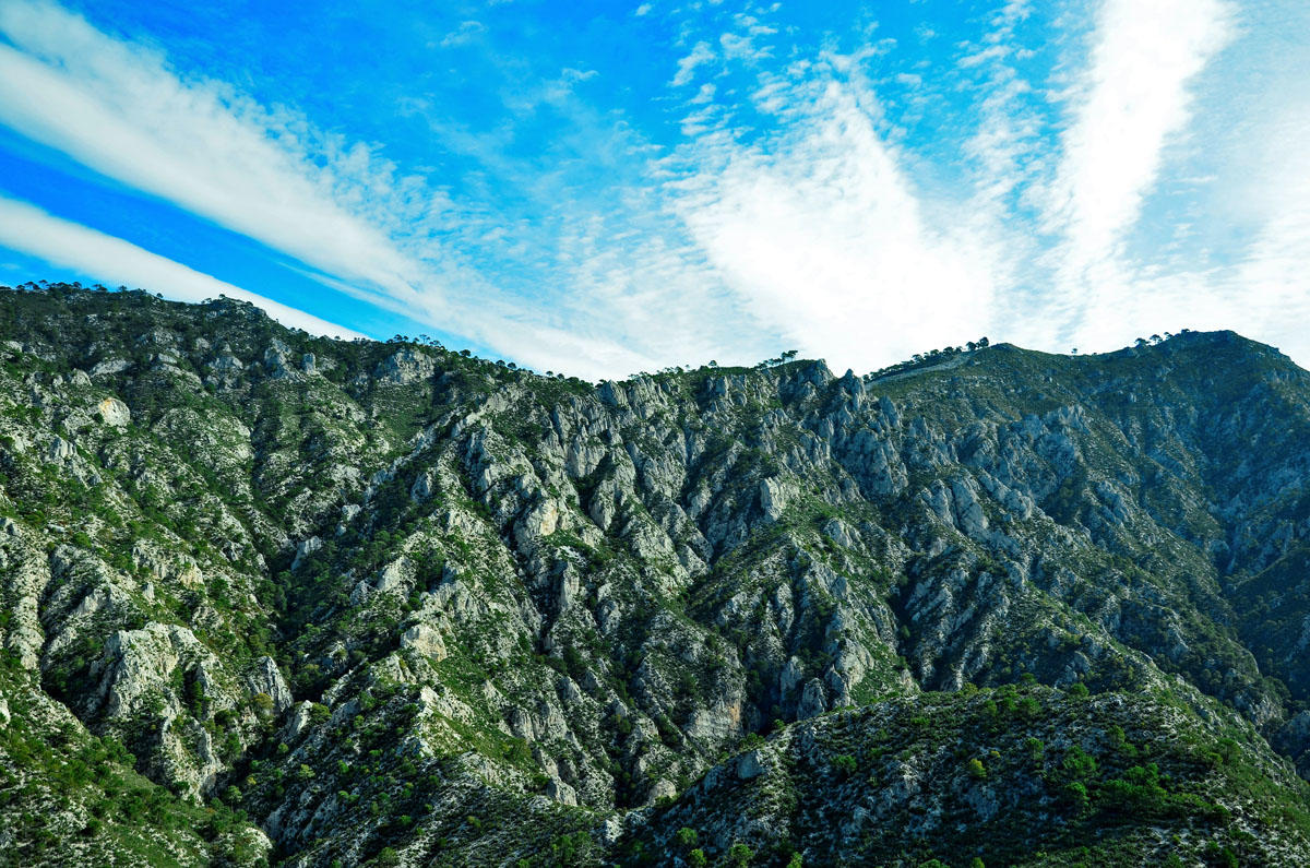 Autofacil revista de coches y motor