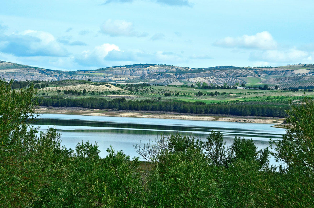 Autofacil revista de coches y motor