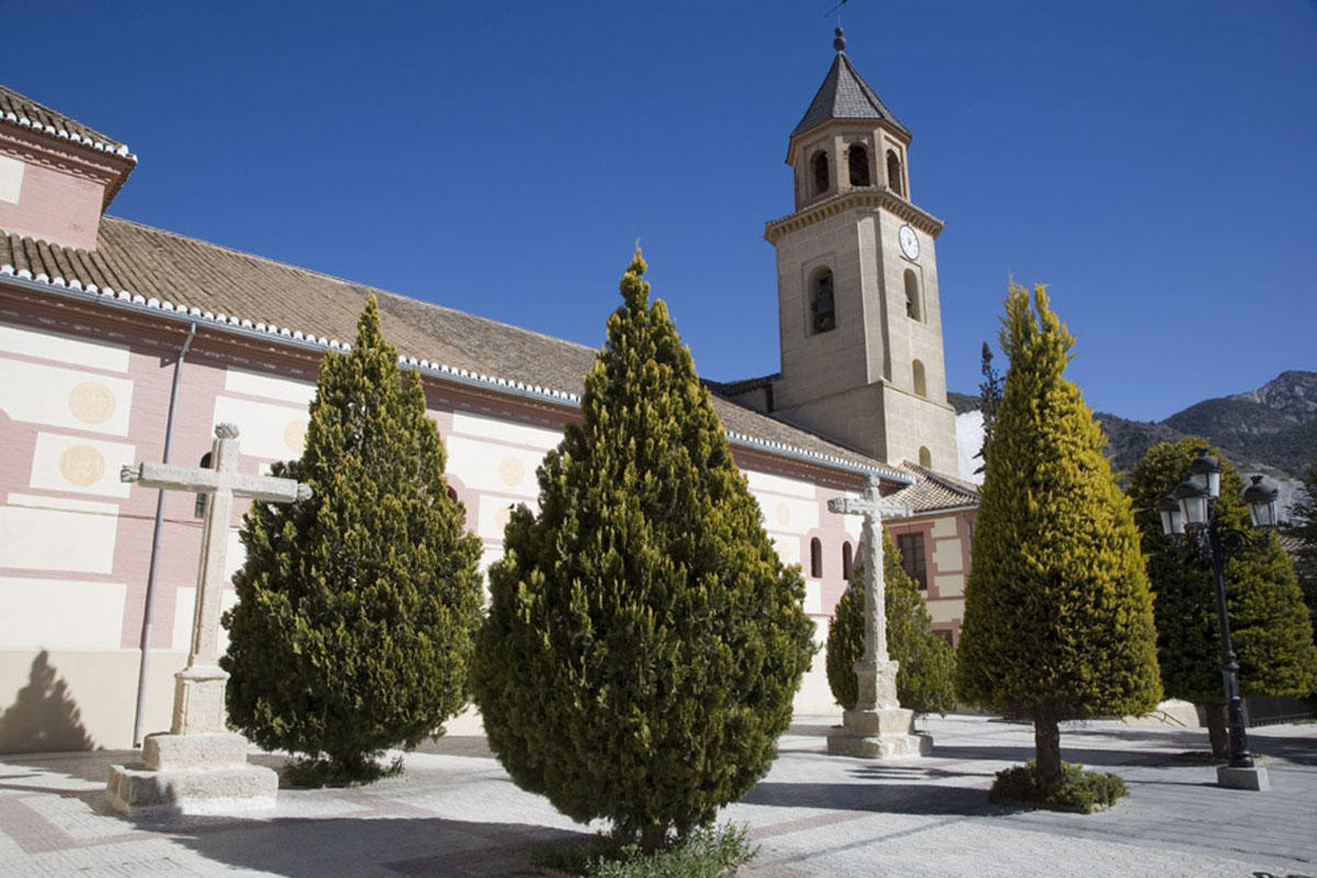 Autofacil revista de coches y motor