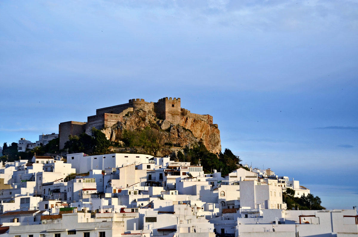 Autofacil revista de coches y motor