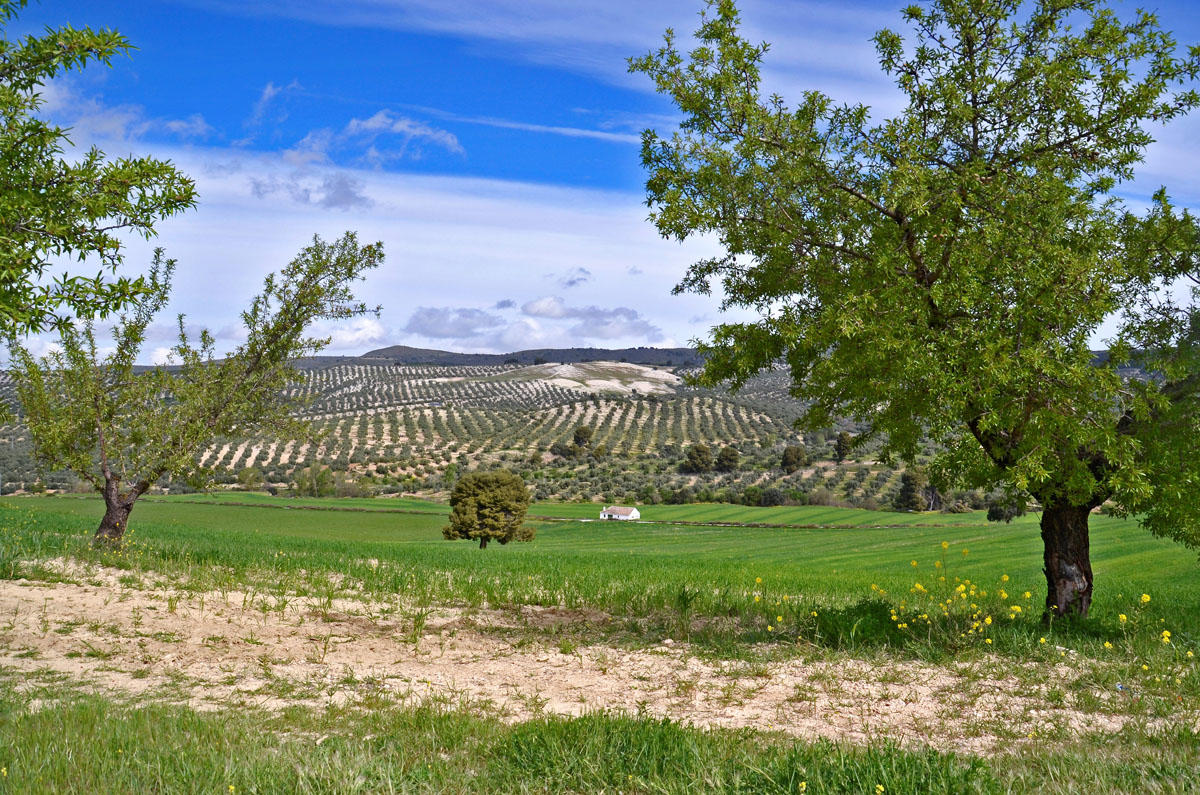 Autofacil revista de coches y motor