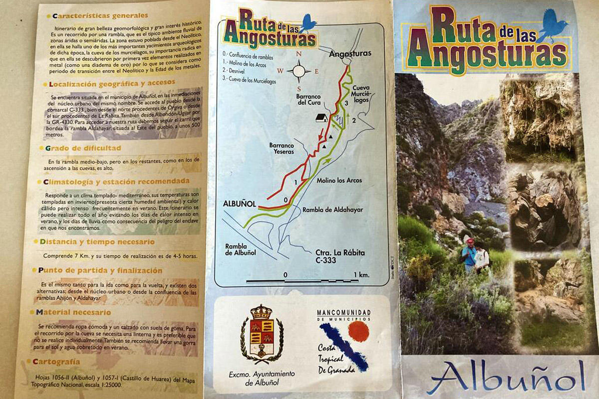 Autofacil revista de coches y motor