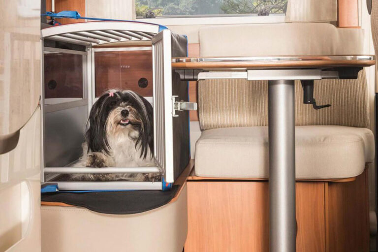 00 accesorios perros autocaravana