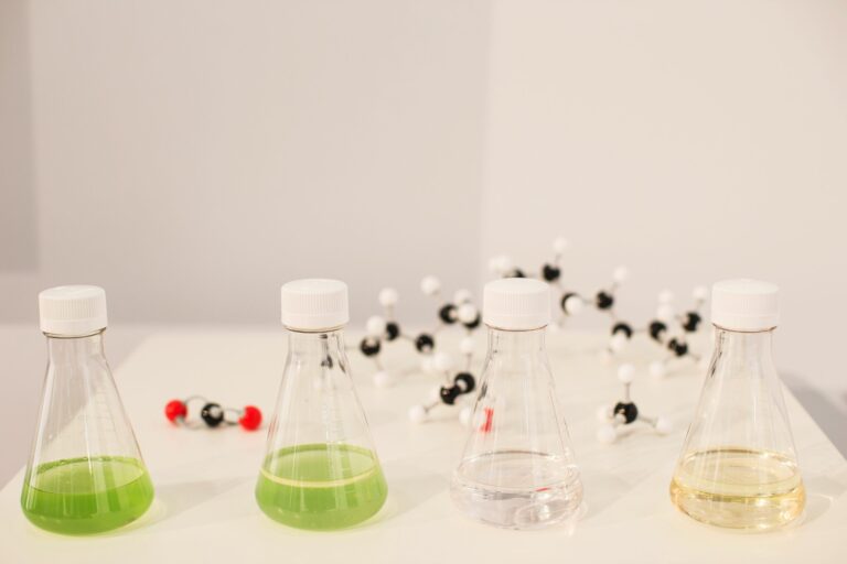 2012 11 05 IMG 2012 11 05 171318 bacterias scaled 1