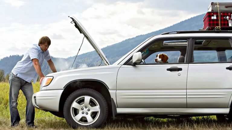 averiascochecomunes e1672244516708