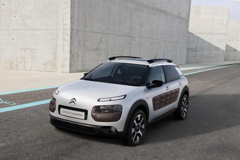 c4cactus 1