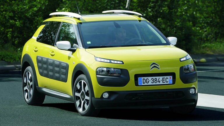 c4cactus03