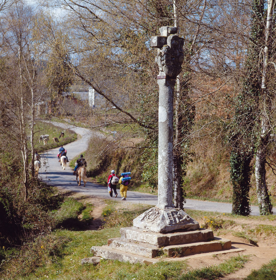 caminosantiago2 1